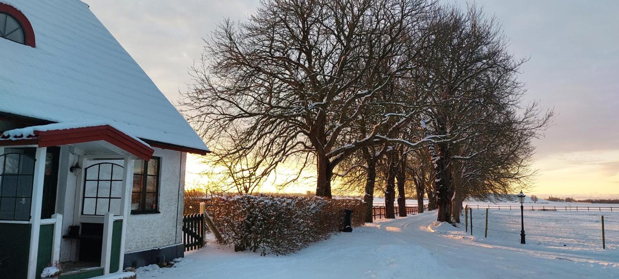 Lantligt Och Lugnt Boende Naera Natur Och Stad Svedala Exteriér fotografie