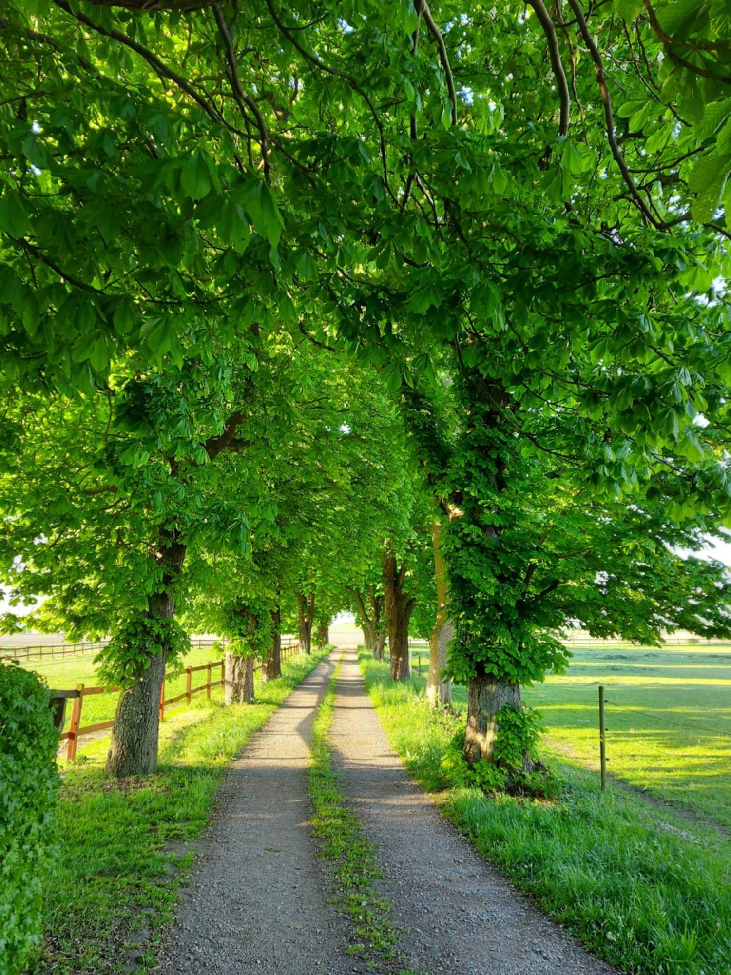 Lantligt Och Lugnt Boende Naera Natur Och Stad Svedala Exteriér fotografie
