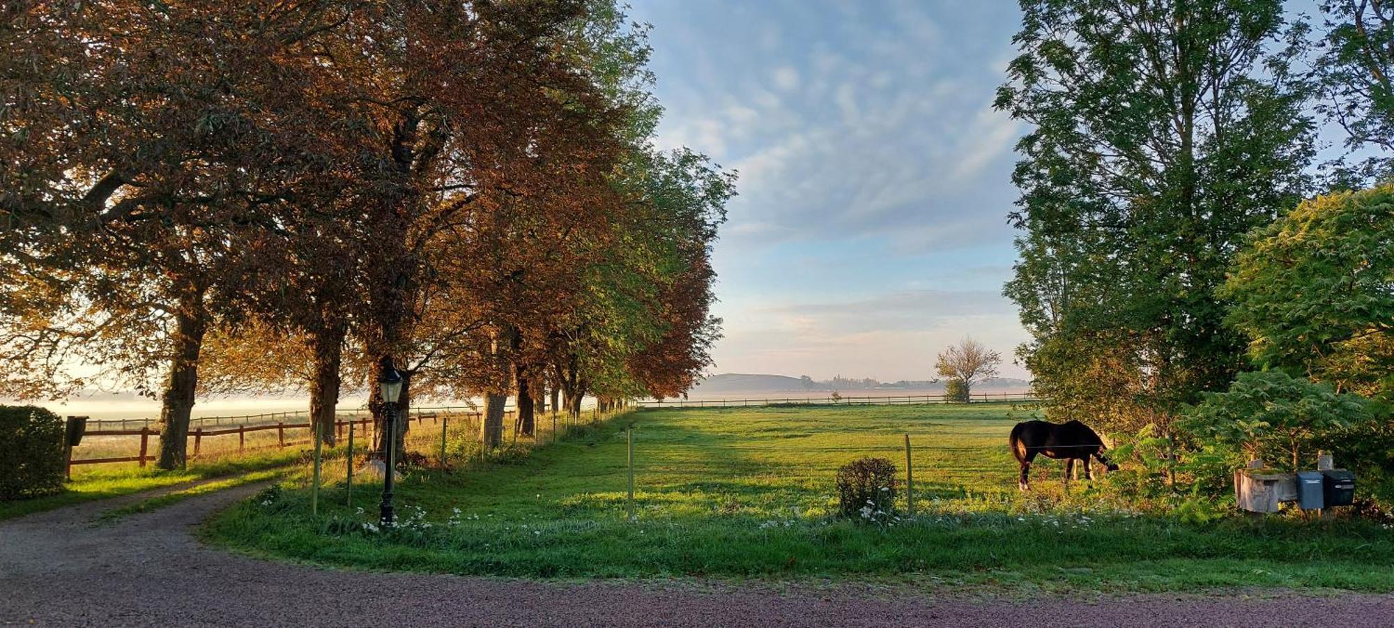 Lantligt Och Lugnt Boende Naera Natur Och Stad Svedala Exteriér fotografie