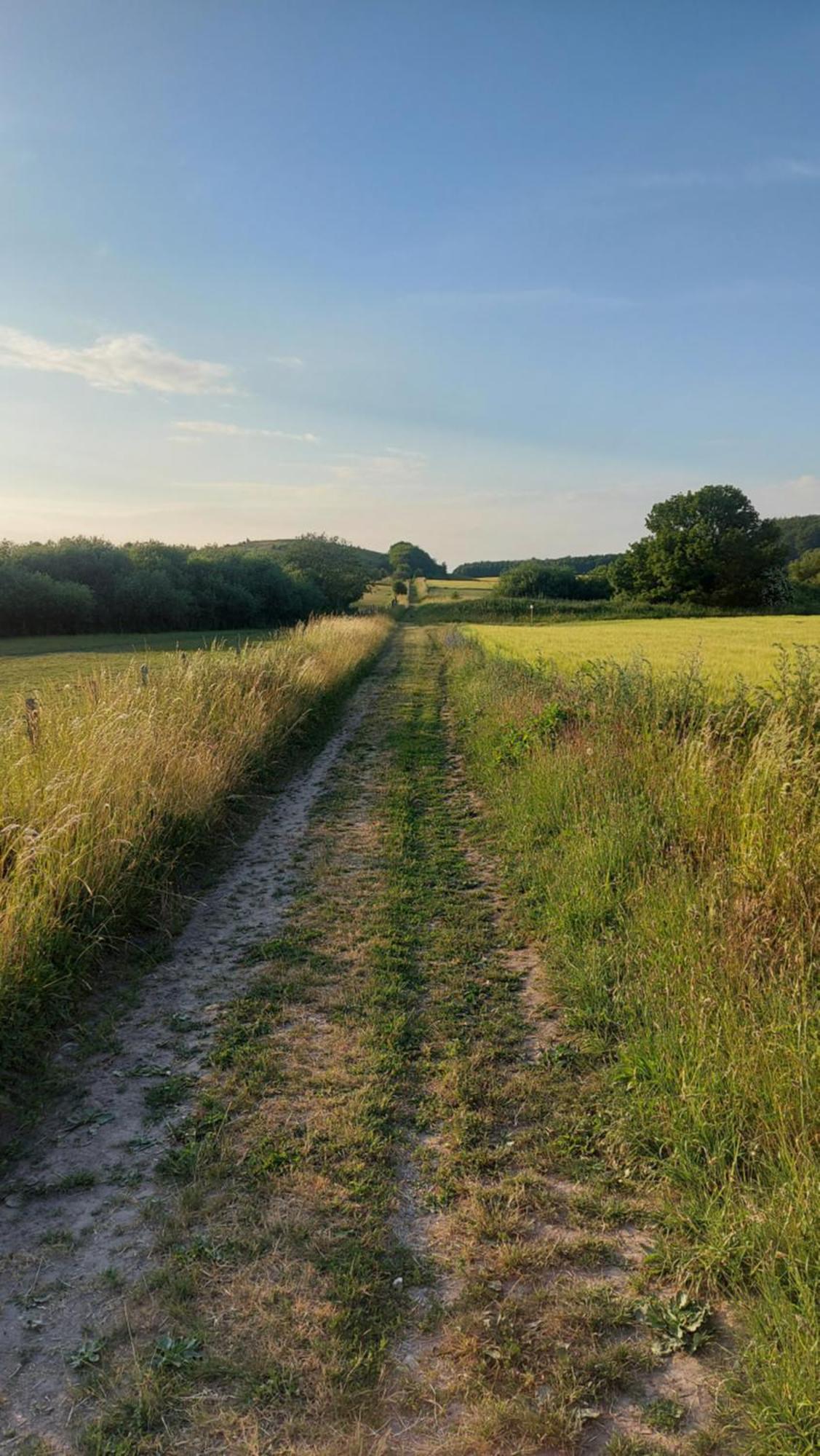 Lantligt Och Lugnt Boende Naera Natur Och Stad Svedala Exteriér fotografie