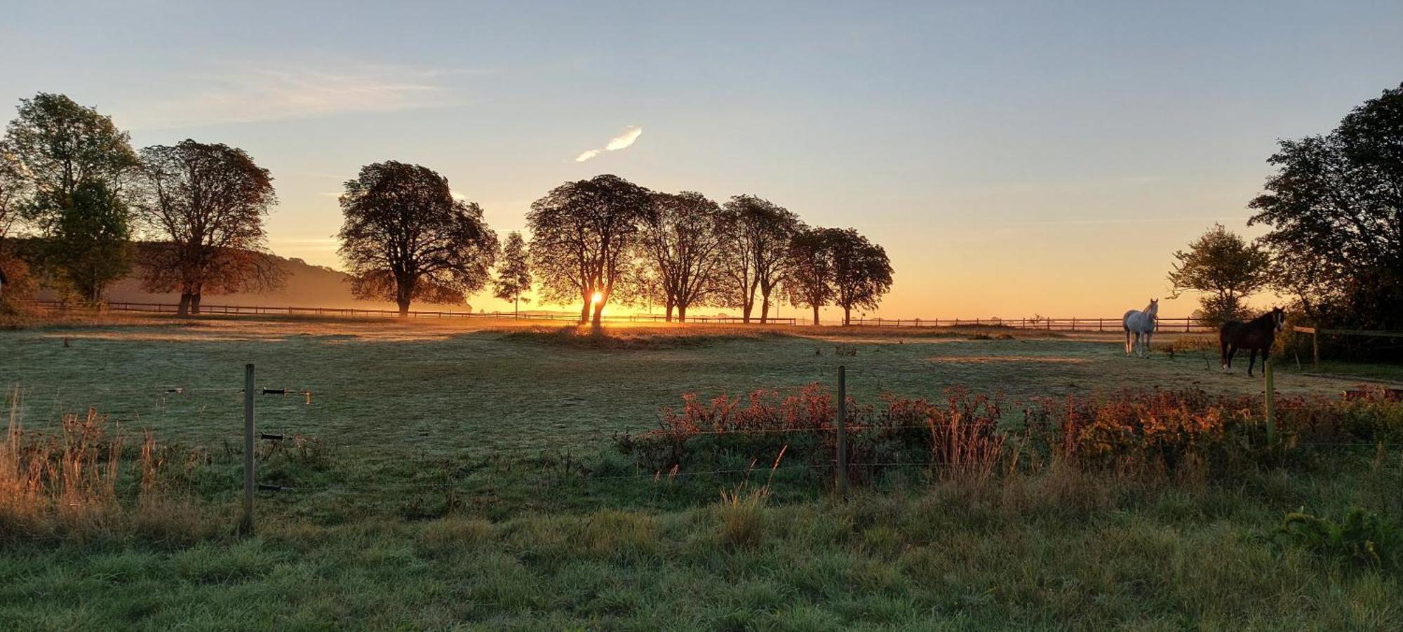 Lantligt Och Lugnt Boende Naera Natur Och Stad Svedala Exteriér fotografie