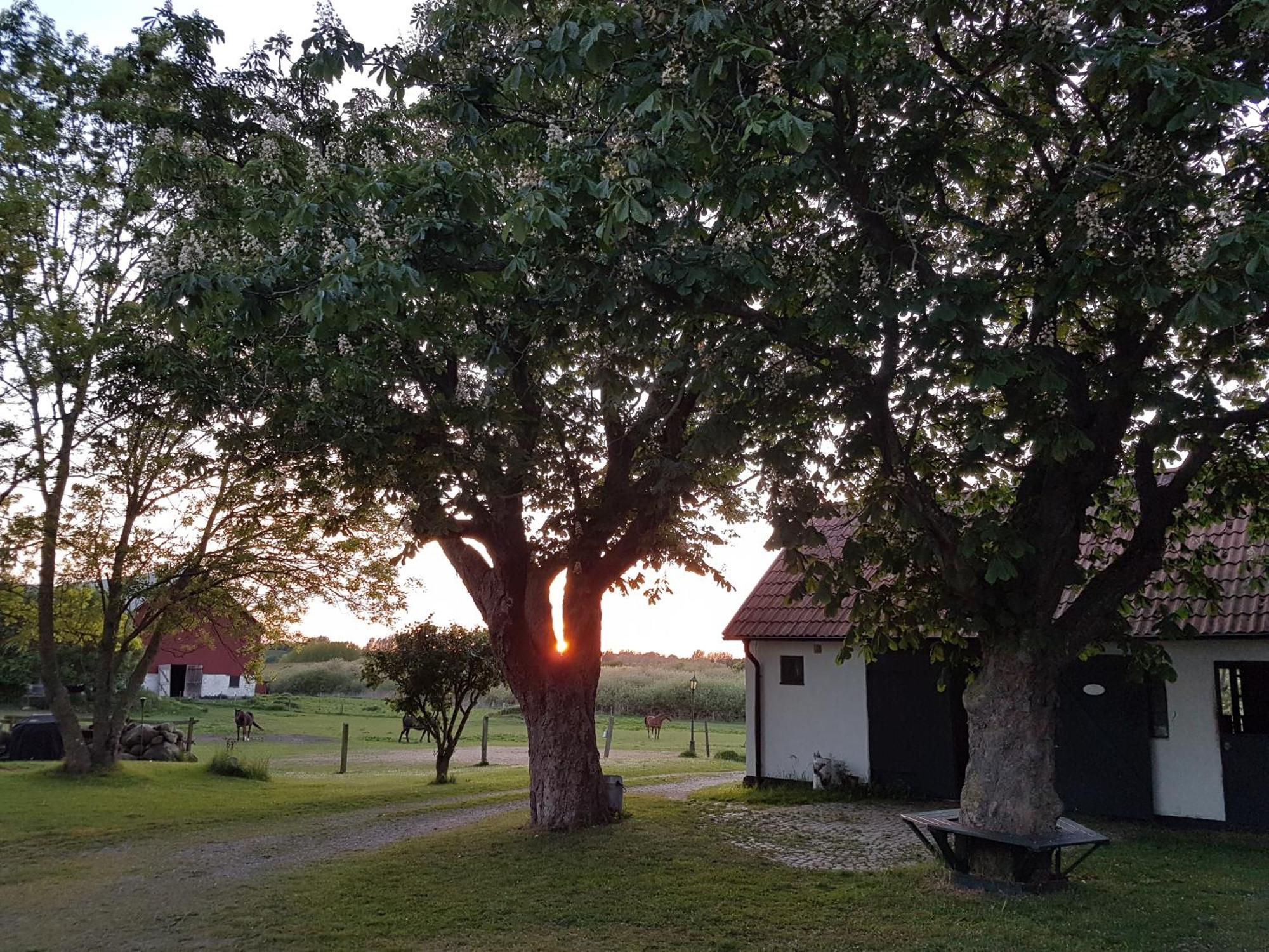 Lantligt Och Lugnt Boende Naera Natur Och Stad Svedala Exteriér fotografie