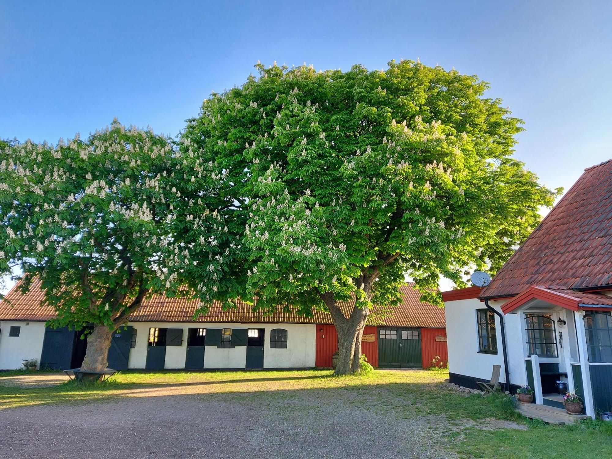 Lantligt Och Lugnt Boende Naera Natur Och Stad Svedala Exteriér fotografie
