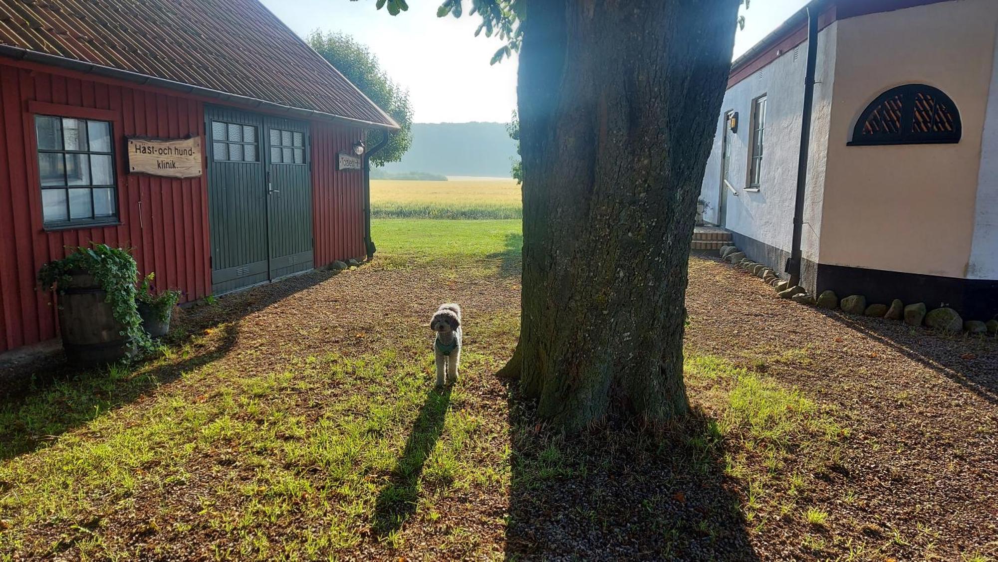 Lantligt Och Lugnt Boende Naera Natur Och Stad Svedala Exteriér fotografie
