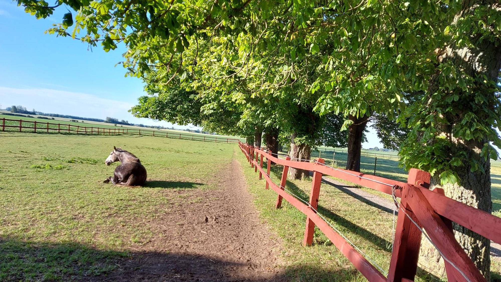Lantligt Och Lugnt Boende Naera Natur Och Stad Svedala Exteriér fotografie