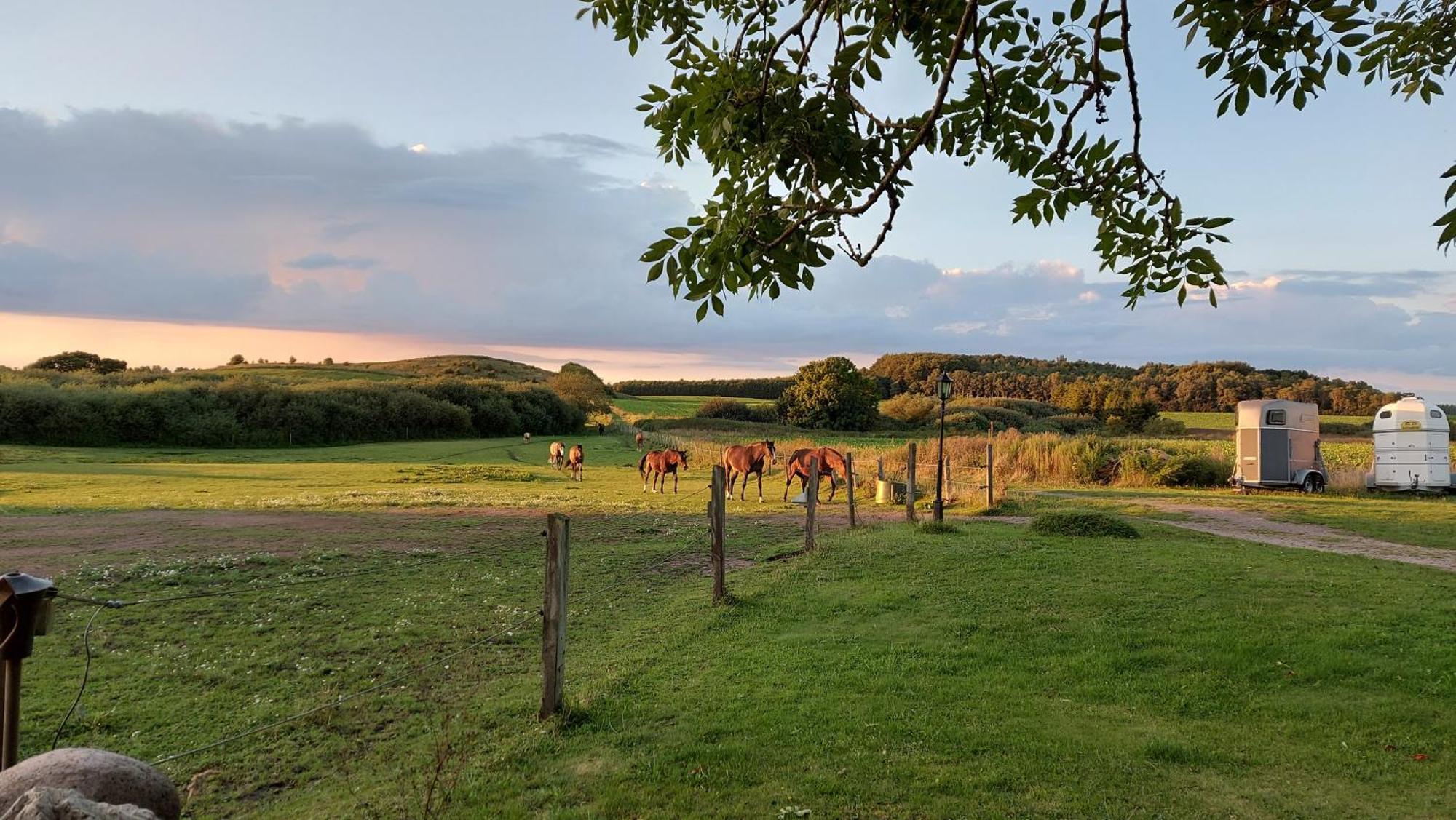 Lantligt Och Lugnt Boende Naera Natur Och Stad Svedala Exteriér fotografie