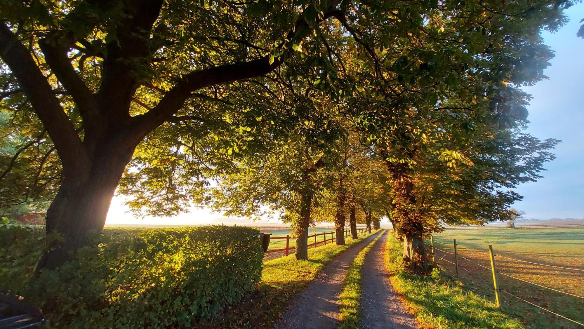Lantligt Och Lugnt Boende Naera Natur Och Stad Svedala Exteriér fotografie